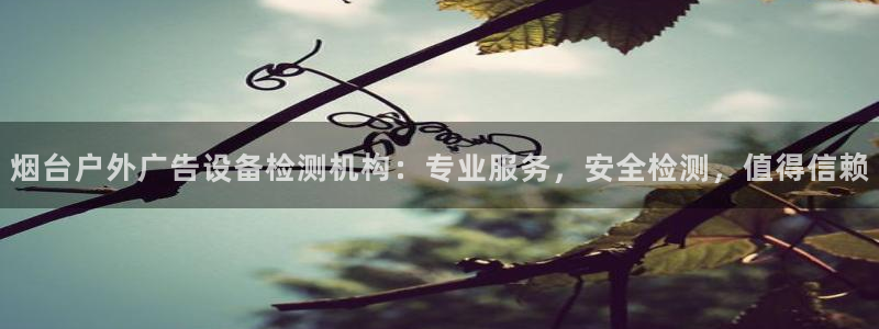 杏宇平台怎么样