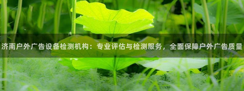 杏宇平台登录步骤图：济南户外广告设备检测机构：专业评估与检测服务，全面保障户外广告质量