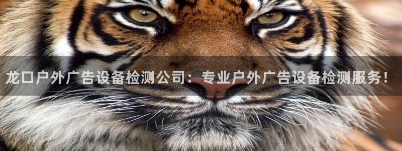 杏宇平台代理怎么赚钱快：龙口户外广告设备检测公司：专业户外广告设备检测服务！