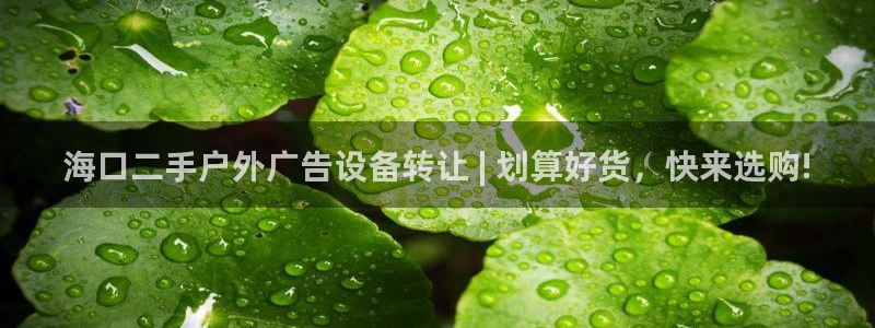 杏宇平台代理怎么赚钱的：海口二手户外广告设备转让 | 划算好货，快来选购!