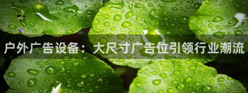 杏宇平台招商：户外广告设备：大尺寸广告位引领行业潮流