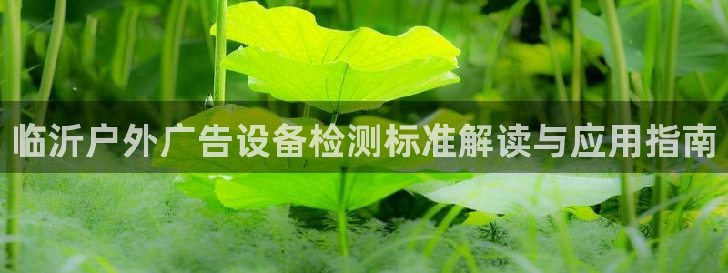 杏宇官方平台官网下载：临沂户外广告设备检测标准解读与应用指南