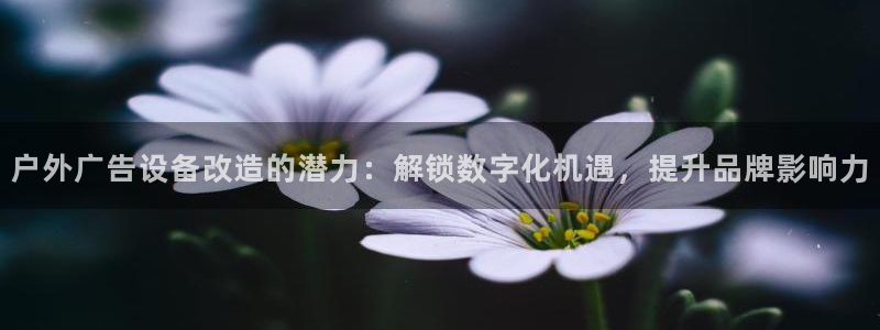 杏宇平台客服：户外广告设备改造的潜力：解锁数字化机遇，提升品牌影响力