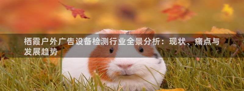 杏宇平台主管：栖霞户外广告设备检测行业全景分析：现状、痛点与
发展趋势