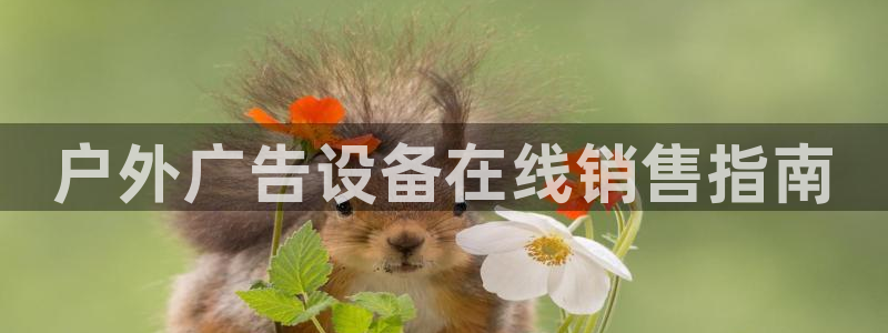 杏宇官方平台官网下载：户外广告设备在线销售指南