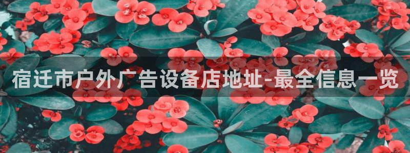 杏宇官方平台官网下载：宿迁市户外广告设备店地址-最全信息一览