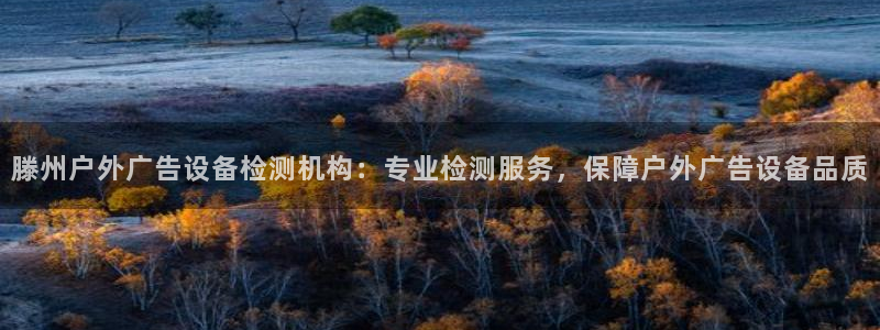 杏宇平台提现为什么这么久呢：滕州户外广告设备检测机构：专业检测服务，保障户外广告设备品质