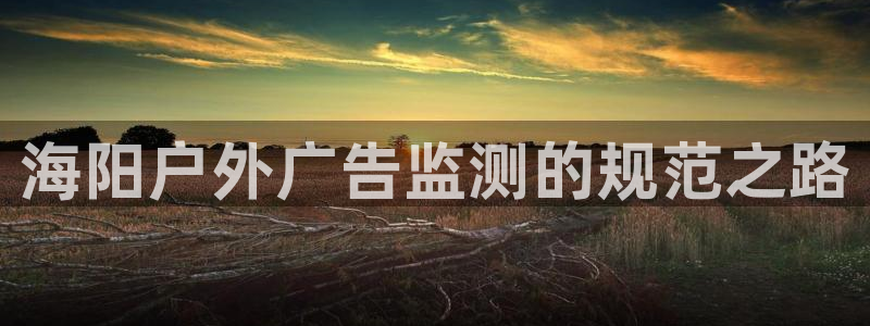 杏宇平台登录步骤：海阳户外广告监测的规范之路