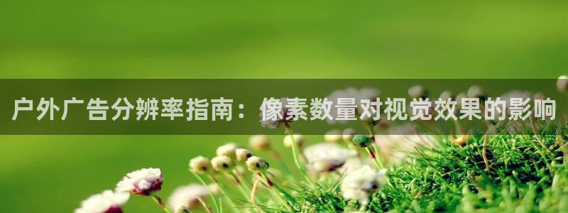 杏宇平台代理怎么样赚钱