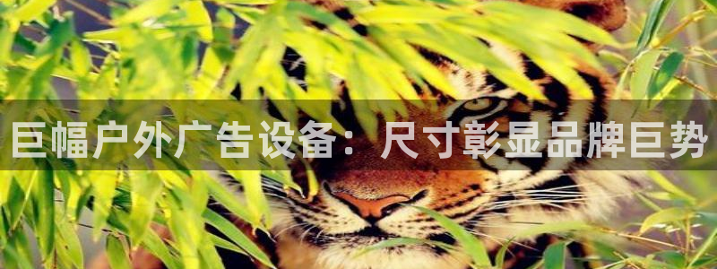 杏宇平台代理怎么样啊
