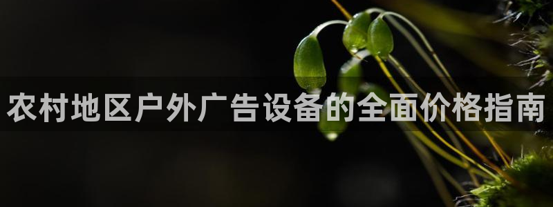 杏宇平台测速链接：农村地区户外广告设备的全面价格指南