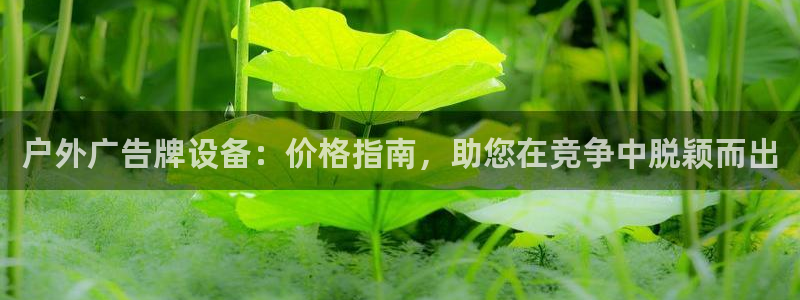 杏宇平台代理多少钱一个：户外广告牌设备：价格指南，助您在竞争中脱颖而出