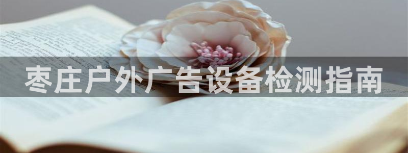 杏宇官方平台官网下载：枣庄户外广告设备检测指南
