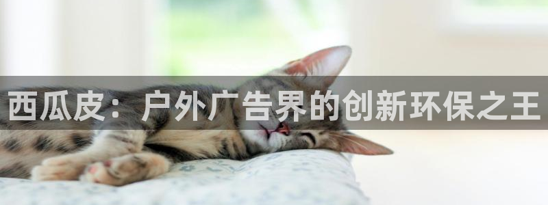 杏宇官方平台官网：西瓜皮：户外广告界的创新环保之王