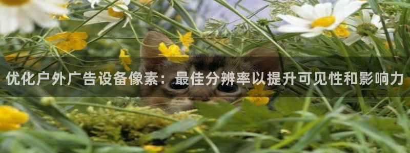 杏宇平台代理怎么样赚钱：优化户外广告设备像素：最佳分辨率以提升可见性和影响力