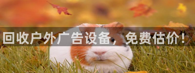杏宇平台登陆：回收户外广告设备，免费估价！