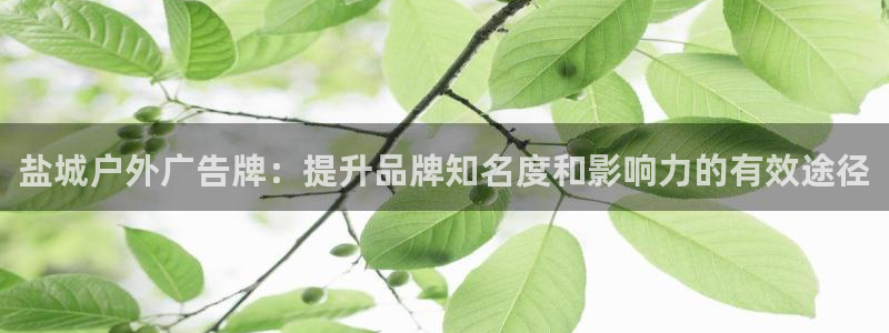 杏宇平台代理多少钱一次：盐城户外广告牌：提升品牌知名度和影响力的有效途径