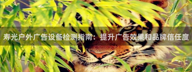 杏宇平台代理怎么赚钱快