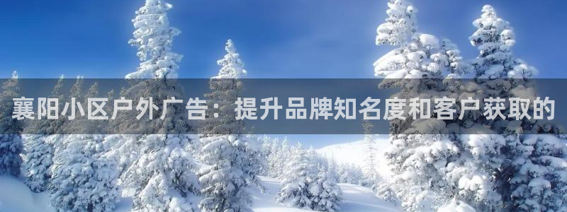 杏宇平台招商电话号码