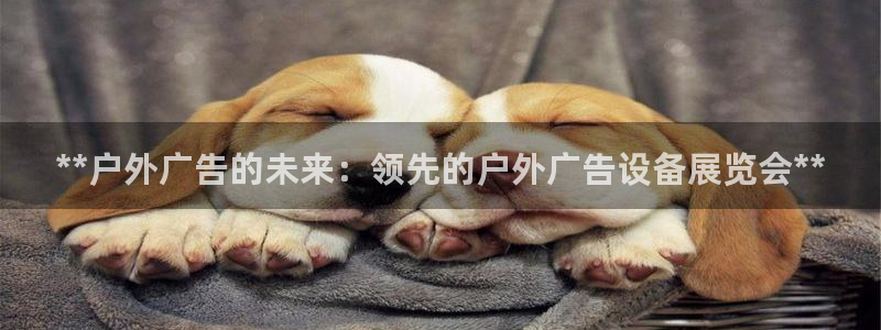 杏宇平台登录步骤是什么：**户外广告的未来：领先的户外广告设备展览会**