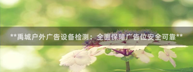 杏宇平台客服：**禹城户外广告设备检测：全面保障广告位安全可靠**