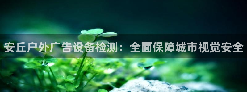杏宇平台代理怎么样可靠吗：安丘户外广告设备检测：全面保障城市视觉安全