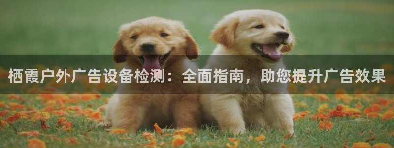 杏宇平台代理怎么赚钱快：栖霞户外广告设备检测：全面指南，助您提升广告效果
