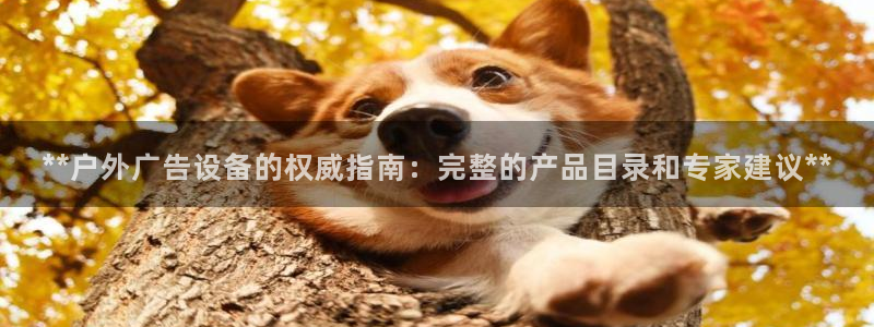 杏宇平台总代理：**户外广告设备的权威指南：完整的产品目录和专家建议**