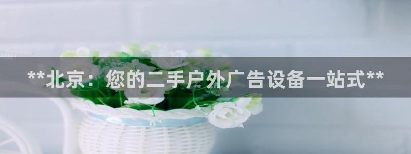 杏宇平台客服
