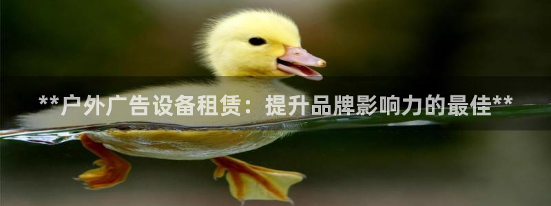 杏宇平台提现为什么这么久呢：**户外广告设备租赁：提升品牌影响力的最佳**