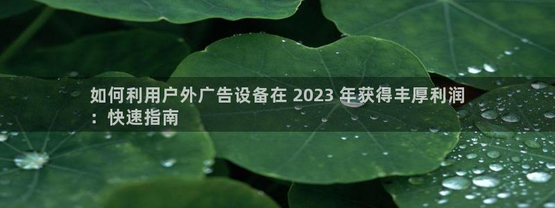 杏宇平台总代理是谁：如何利用户外广告设备在 2023 年获得丰厚利润
：快速指南