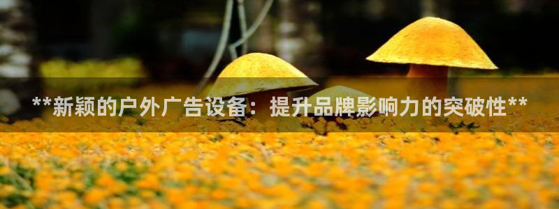 杏宇平台登录步骤：**新颖的户外广告设备：提升品牌影响力的突破性**
