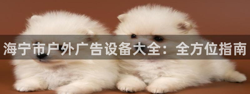 杏宇平台注册登录：海宁市户外广告设备大全：全方位指南