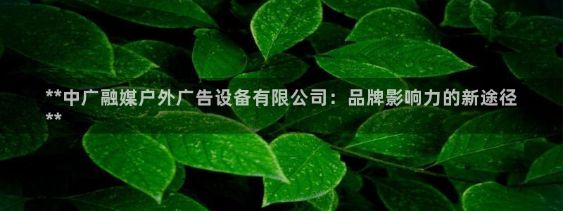杏宇平台怎么样赚钱：**中广融媒户外广告设备有限公司：品牌影响力的新途径
**