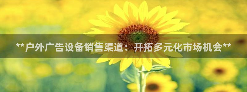 杏宇平台代理怎么样赚钱：**户外广告设备销售渠道：开拓多元化市场机会**