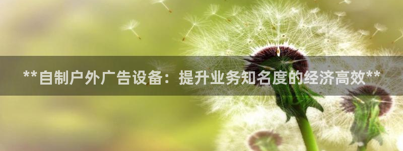 杏宇平台登录方法：**自制户外广告设备：提升业务知名度的经济高效**