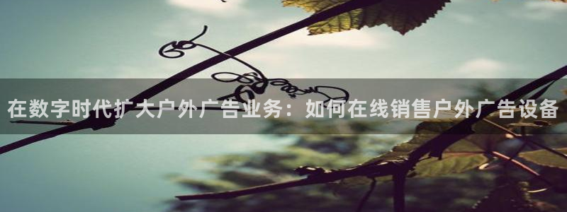 杏宇平台招商怎么样：在数字时代扩大户外广告业务：如何在线销售户外广告设备