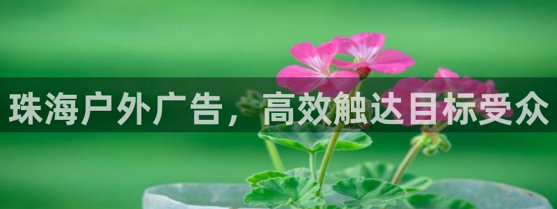 杏宇平台登录步骤是什么：珠海户外广告，高效触达目标受众