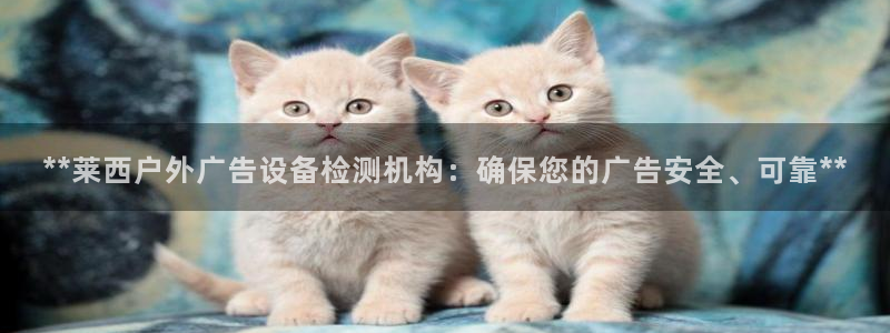 杏宇平台注册地址：**莱西户外广告设备检测机构：确保您的广告安全、可靠**