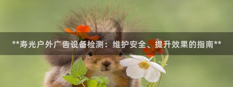 杏宇平台代理：**寿光户外广告设备检测：维护安全、提升效果的指南**