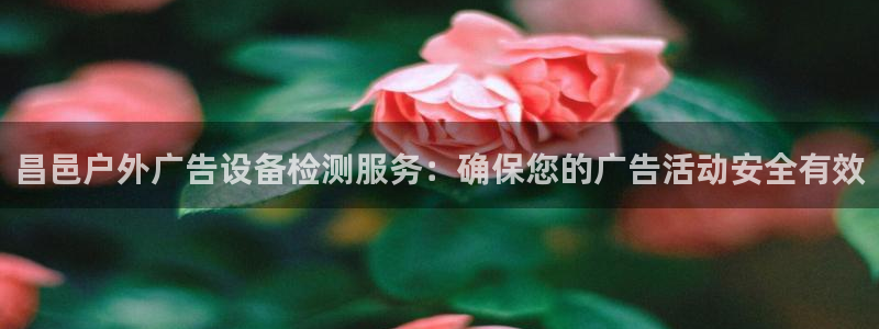 杏宇平台主管：昌邑户外广告设备检测服务：确保您的广告活动安全有效