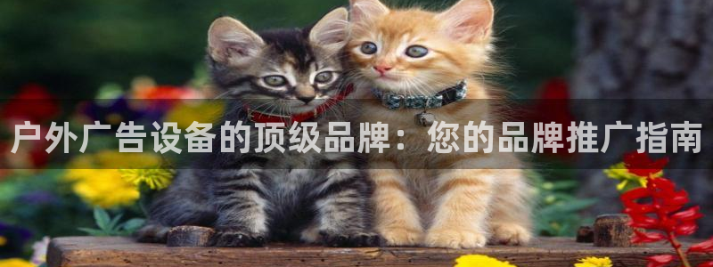杏宇平台代理怎么样啊：户外广告设备的顶级品牌：您的品牌推广指南