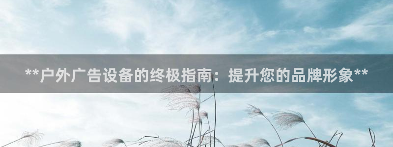 杏宇平台是什么：**户外广告设备的终极指南：提升您的品牌形象**