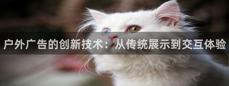 杏宇平台怎么样赚钱