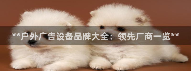 杏宇平台总代理电话：**户外广告设备品牌大全：领先厂商一览**