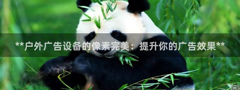 杏宇平台登录步骤是什么：**户外广告设备的像素完美：提升你的广告效果**