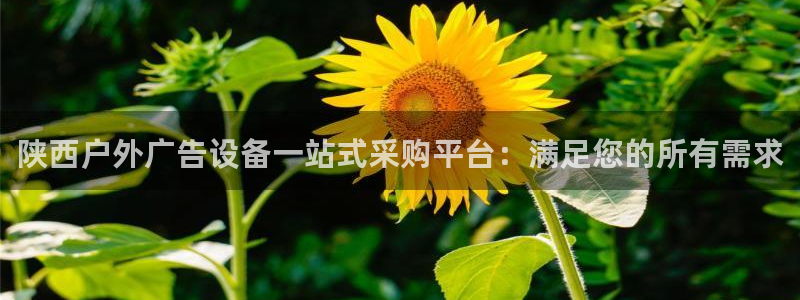 杏宇平台测速链接：陕西户外广告设备一站式采购平台：满足您的所有需求