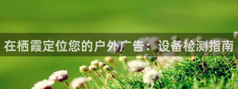 杏宇平台总代理电话：在栖霞定位您的户外广告：设备检测指南