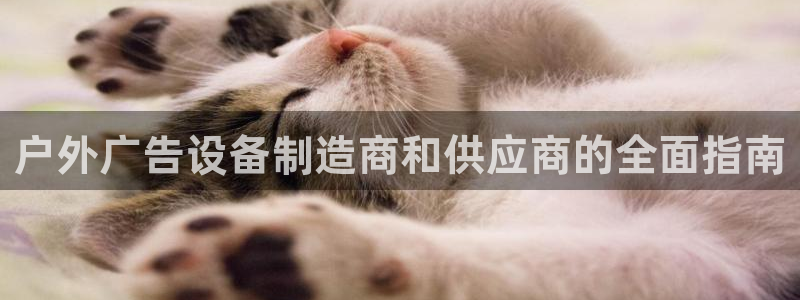 杏宇官方平台官网：户外广告设备制造商和供应商的全面指南