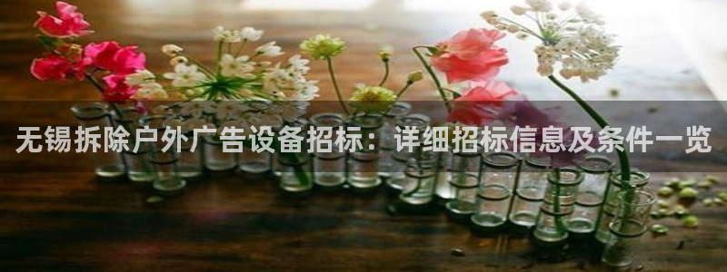 杏宇平台注册地址：无锡拆除户外广告设备招标：详细招标信息及条件一览